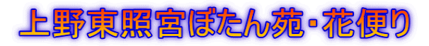  쓌Ƌ{ڂ񉑁Eԕւ 